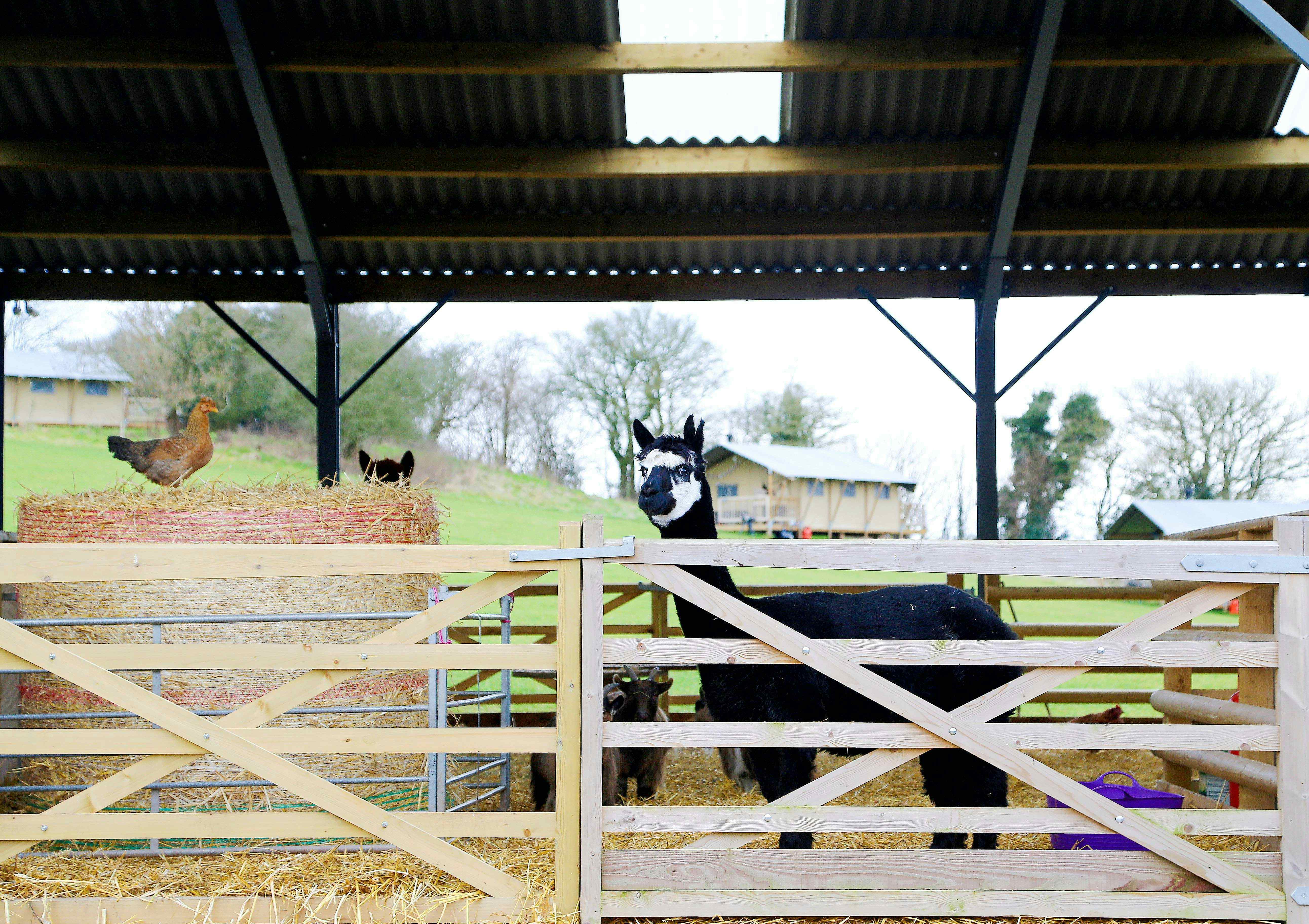 Drovers Rest Farm 19