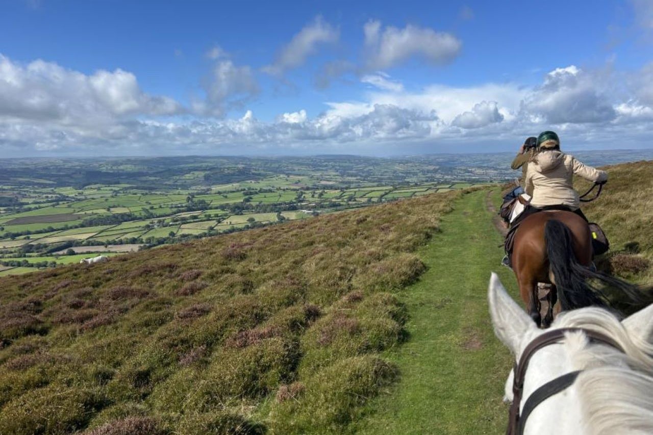 The Farm Activities 5