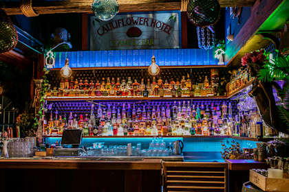 The Palm Lounge 2