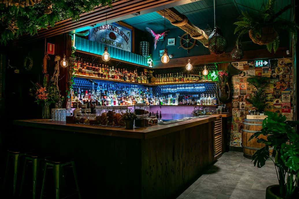 The Cauliflower Hotel - Full Venue Hire 40