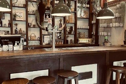 Cactus Bar 1