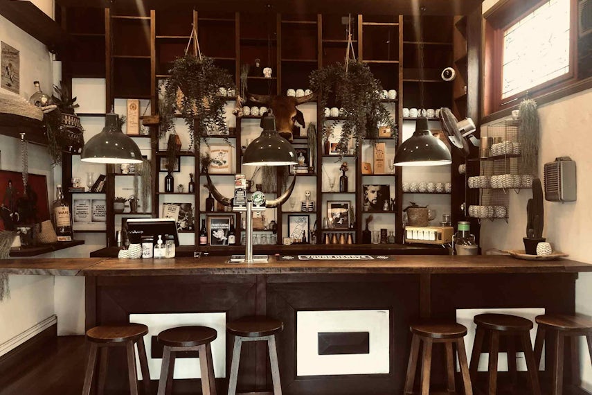 Cactus Bar 0
