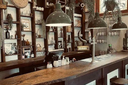 Cactus Bar 2