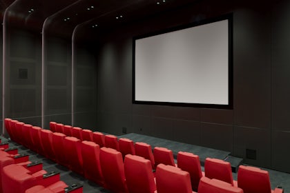 Gallery and Screening Room 1
