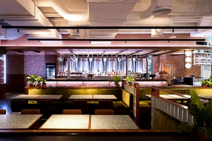 Green Lounges 1