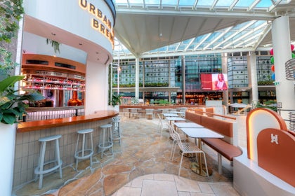 The Terrace 3