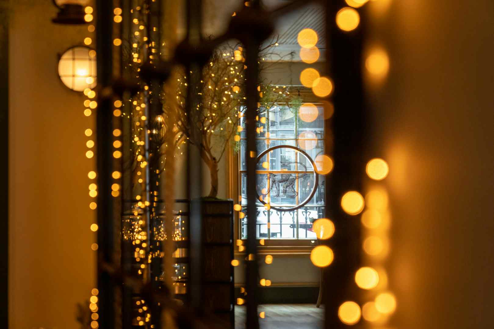 Mowgli Street Food Charlotte St - Private Dining Room 4