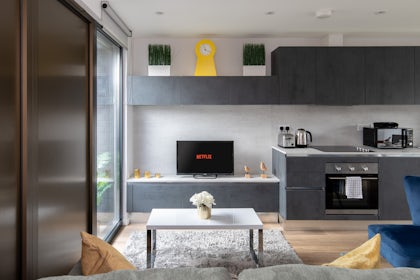 Private Roof Terrace at Camden Sunlit Penthouse 4