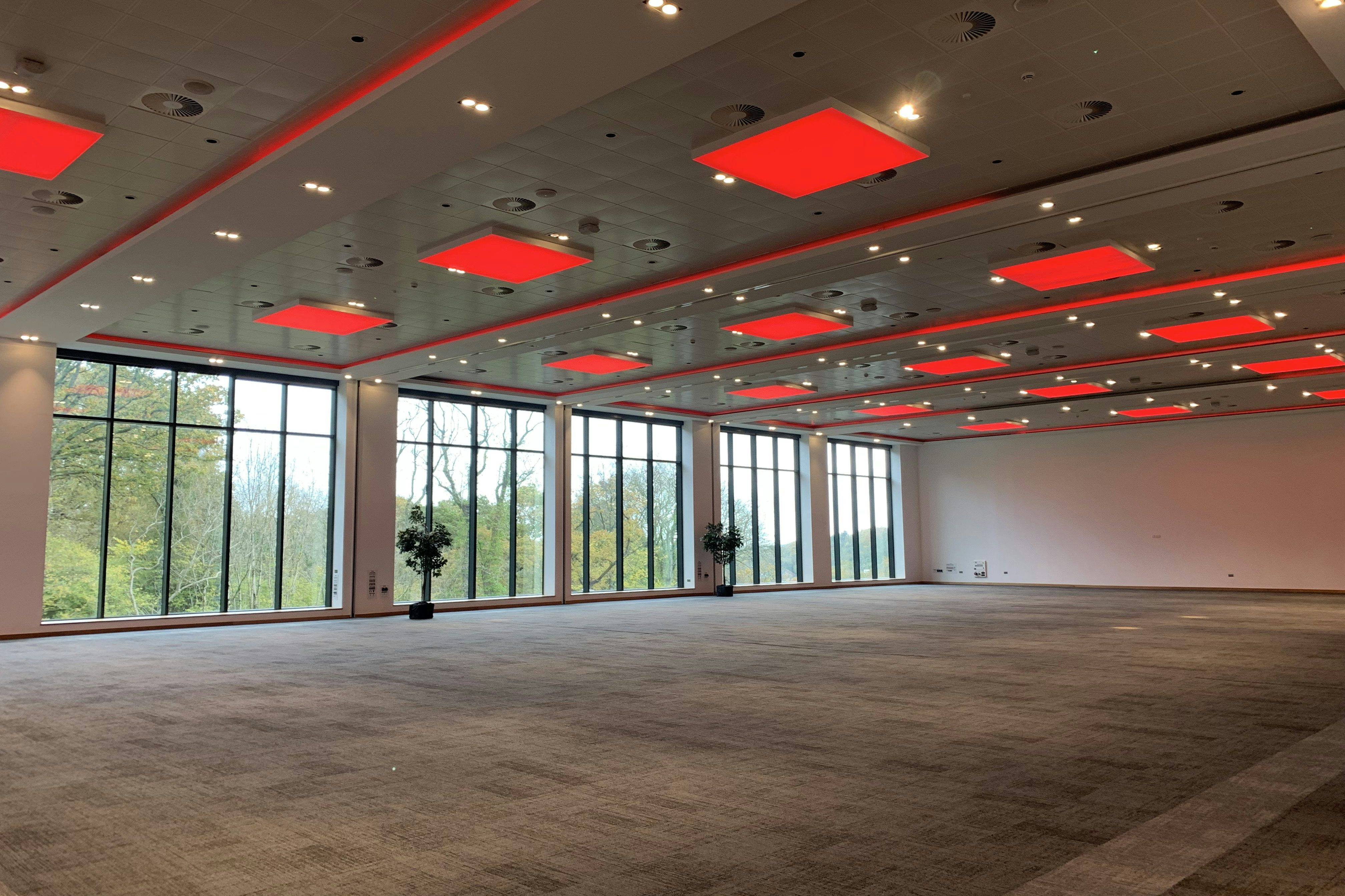 Woodland Suite - Meeting Room 1 0