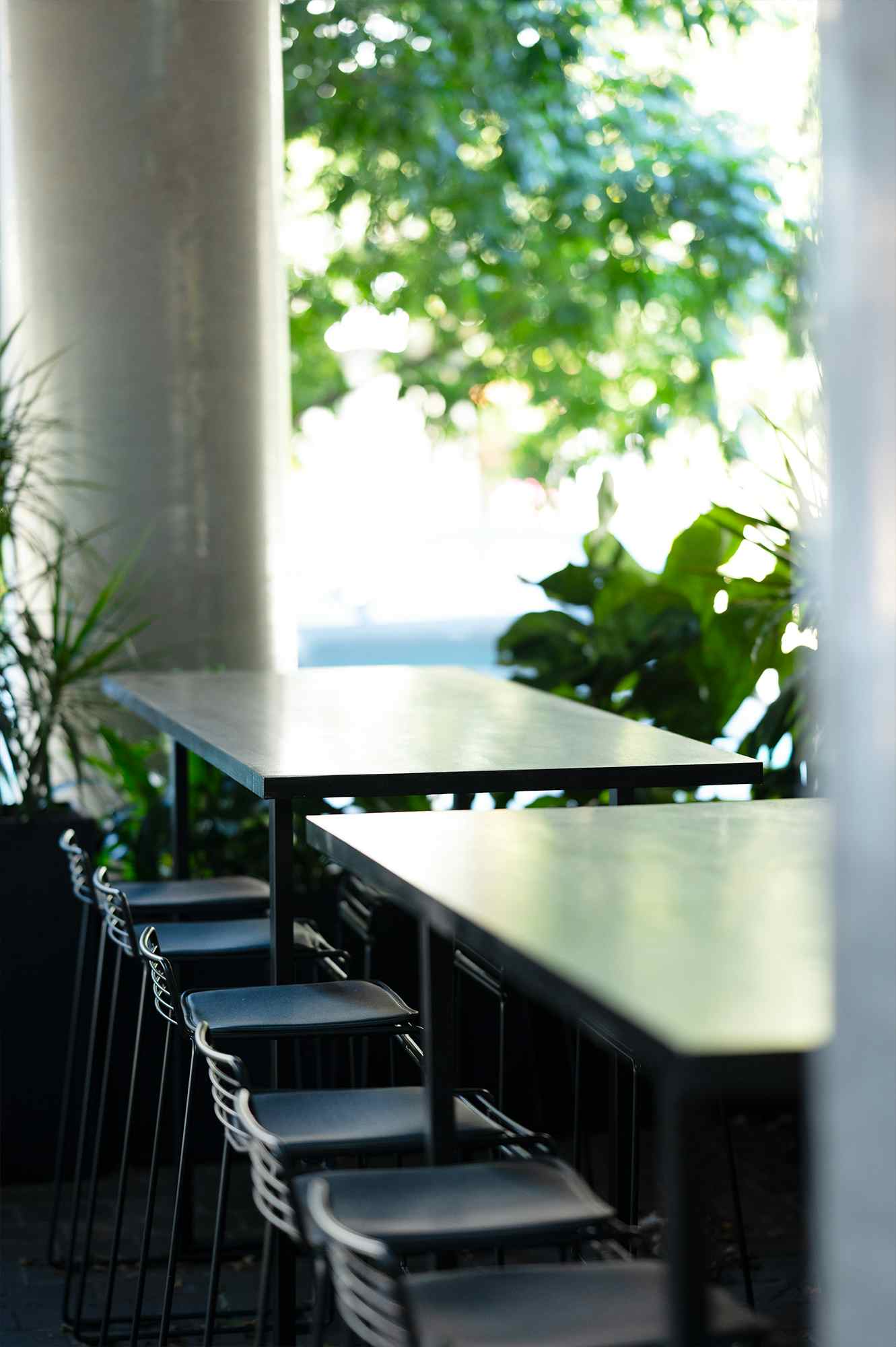 2. THE COURTYARD – Leafy 3