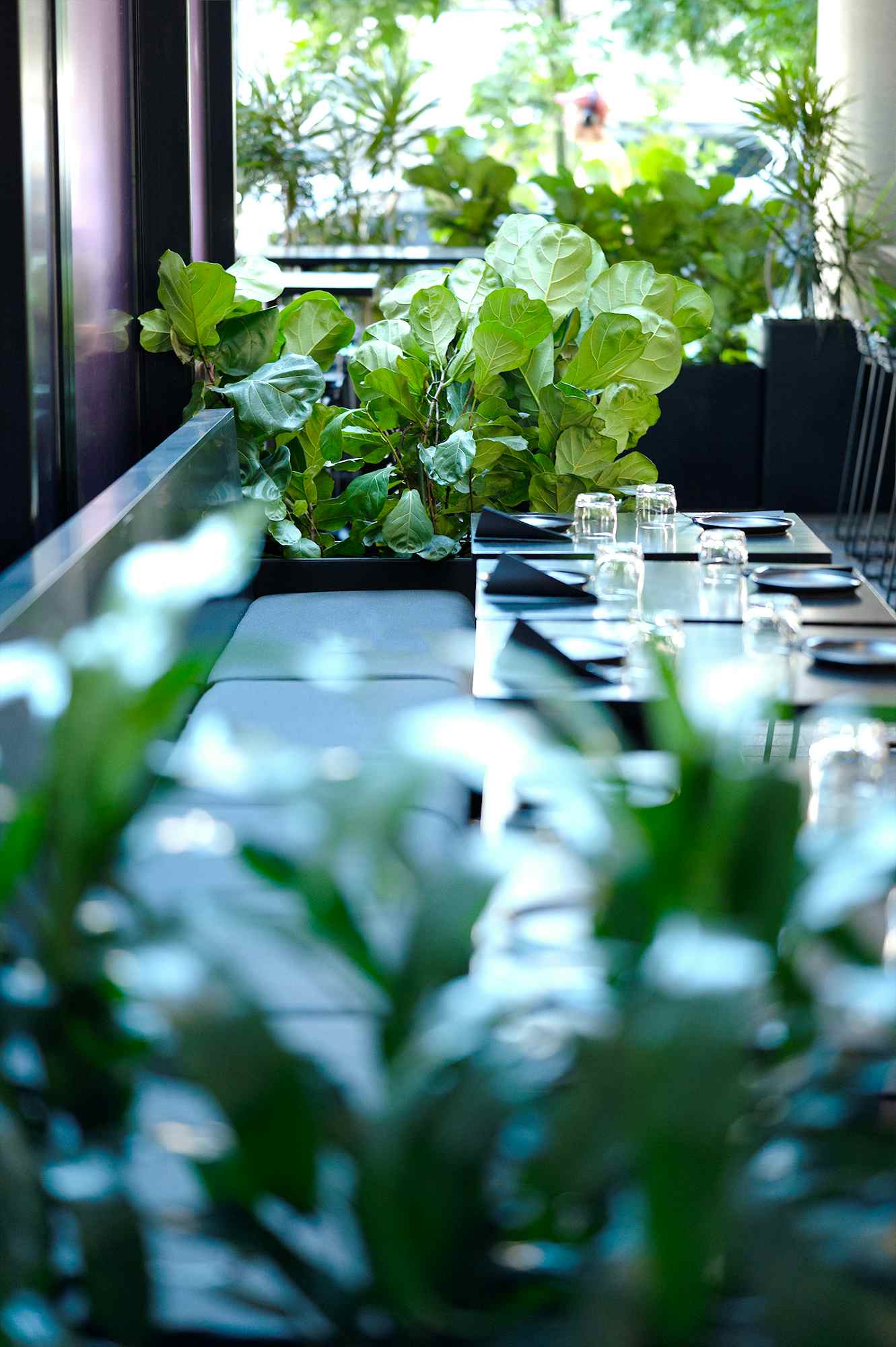 2. THE COURTYARD – Leafy 2