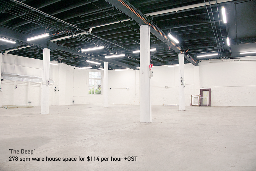 Huge Combined Warehouse Space, Glebe 0