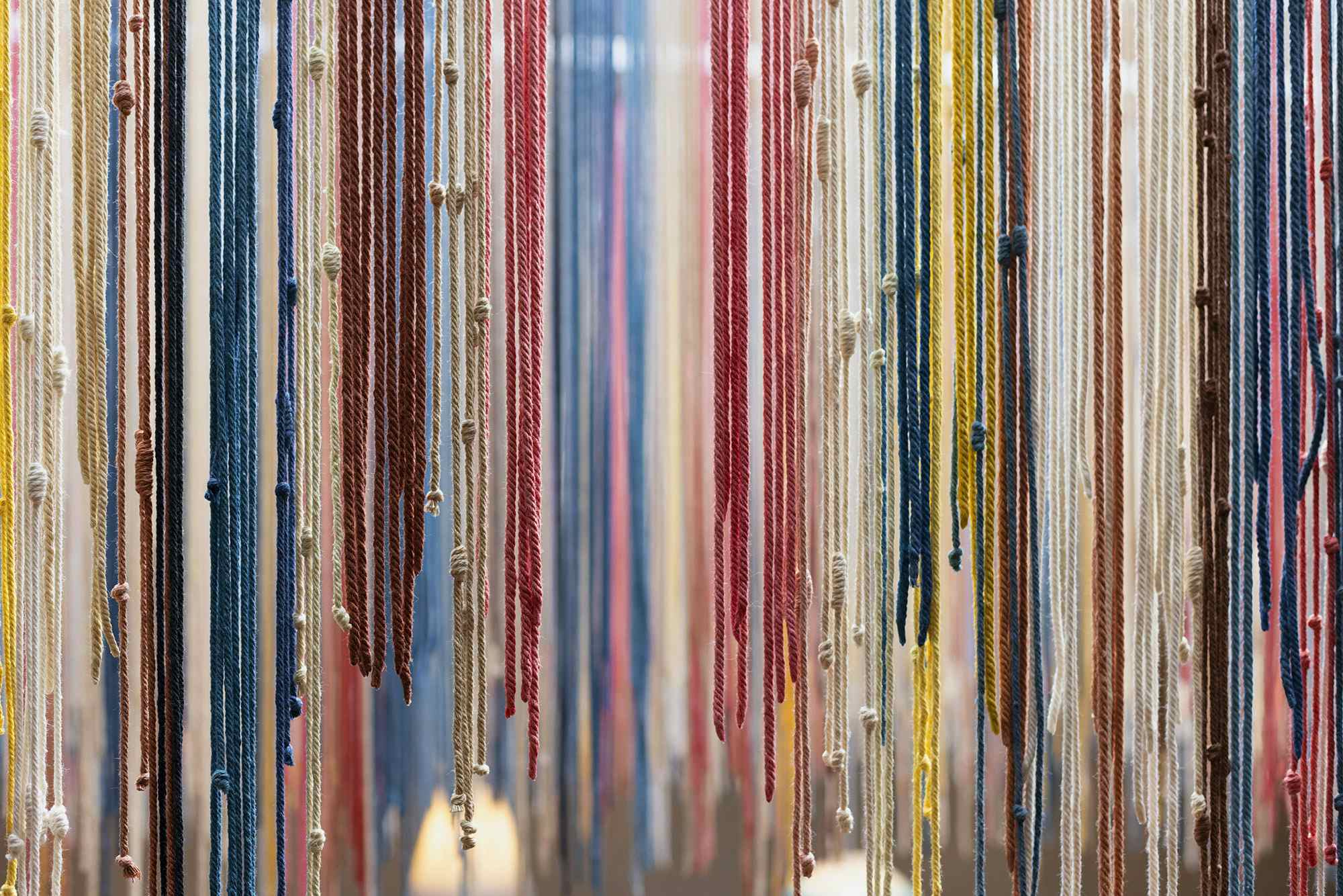 Sotano area | Lower ground 1