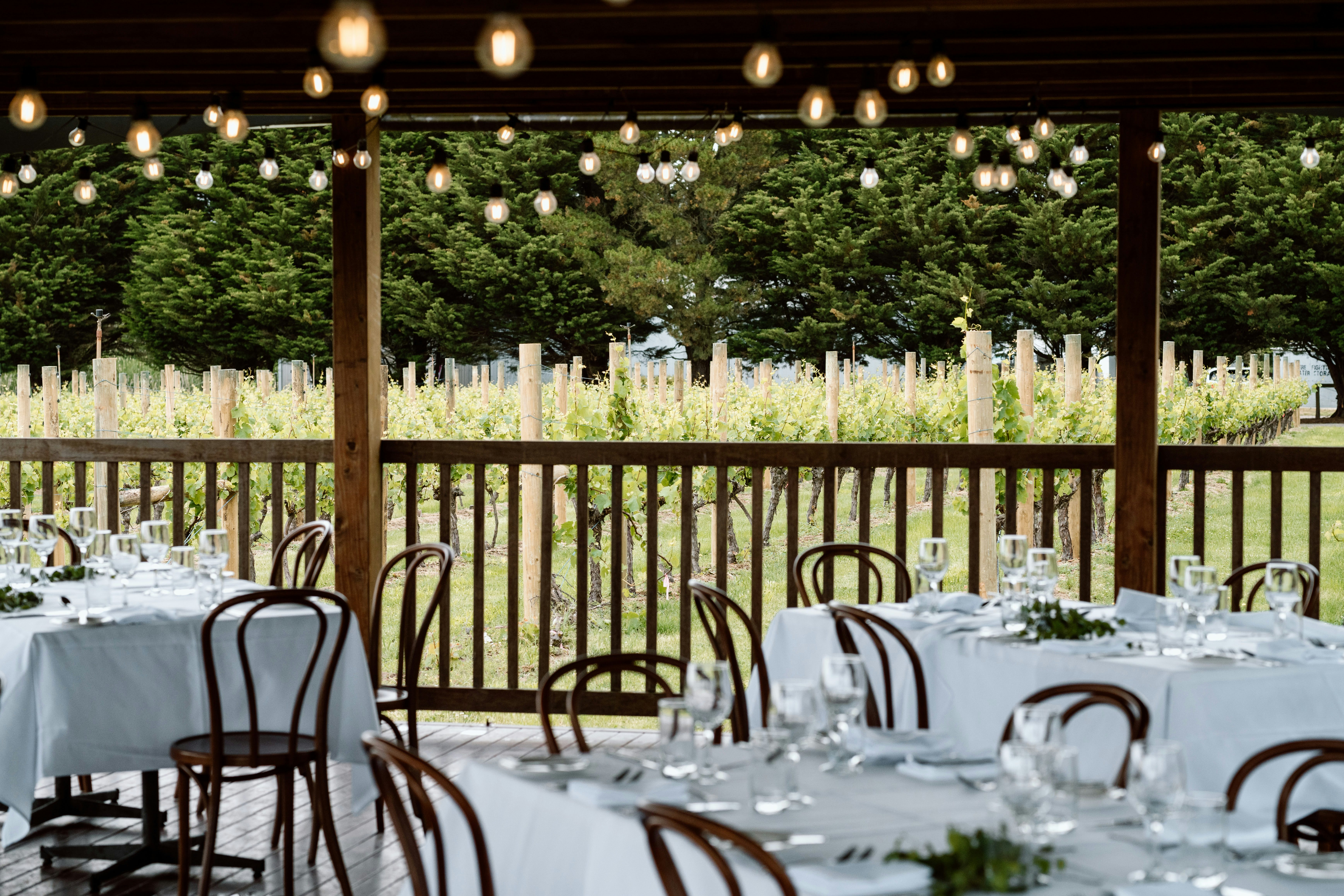 Chardonnay Terrace 1