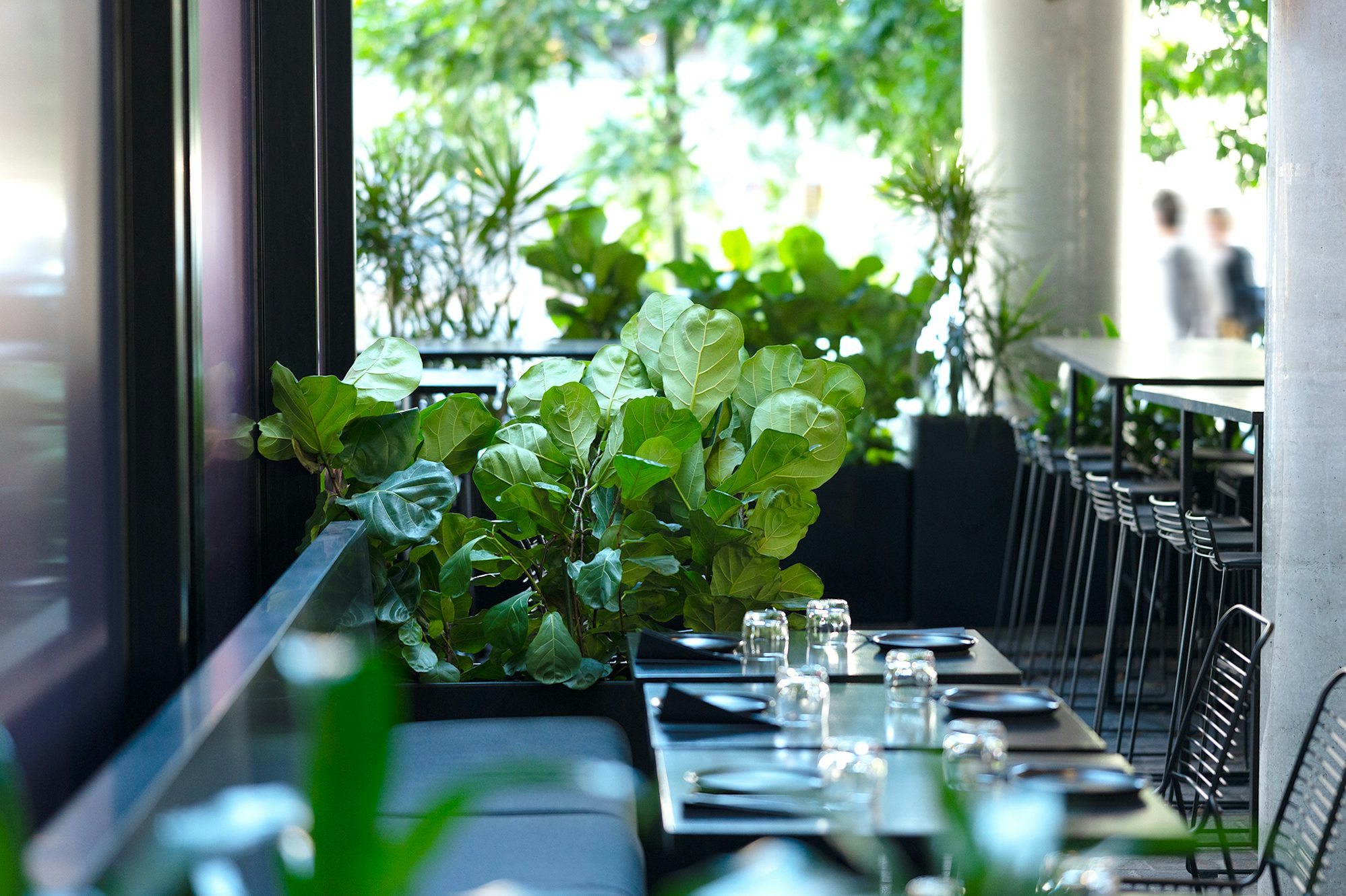 3. DUCKFAT – Indoor & Outdoor 3