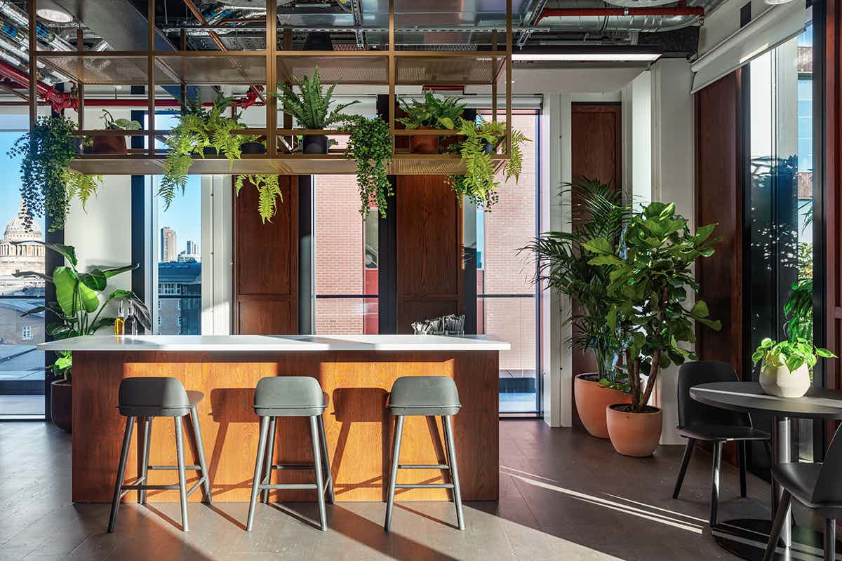 Eighth Floor and Terrace 2