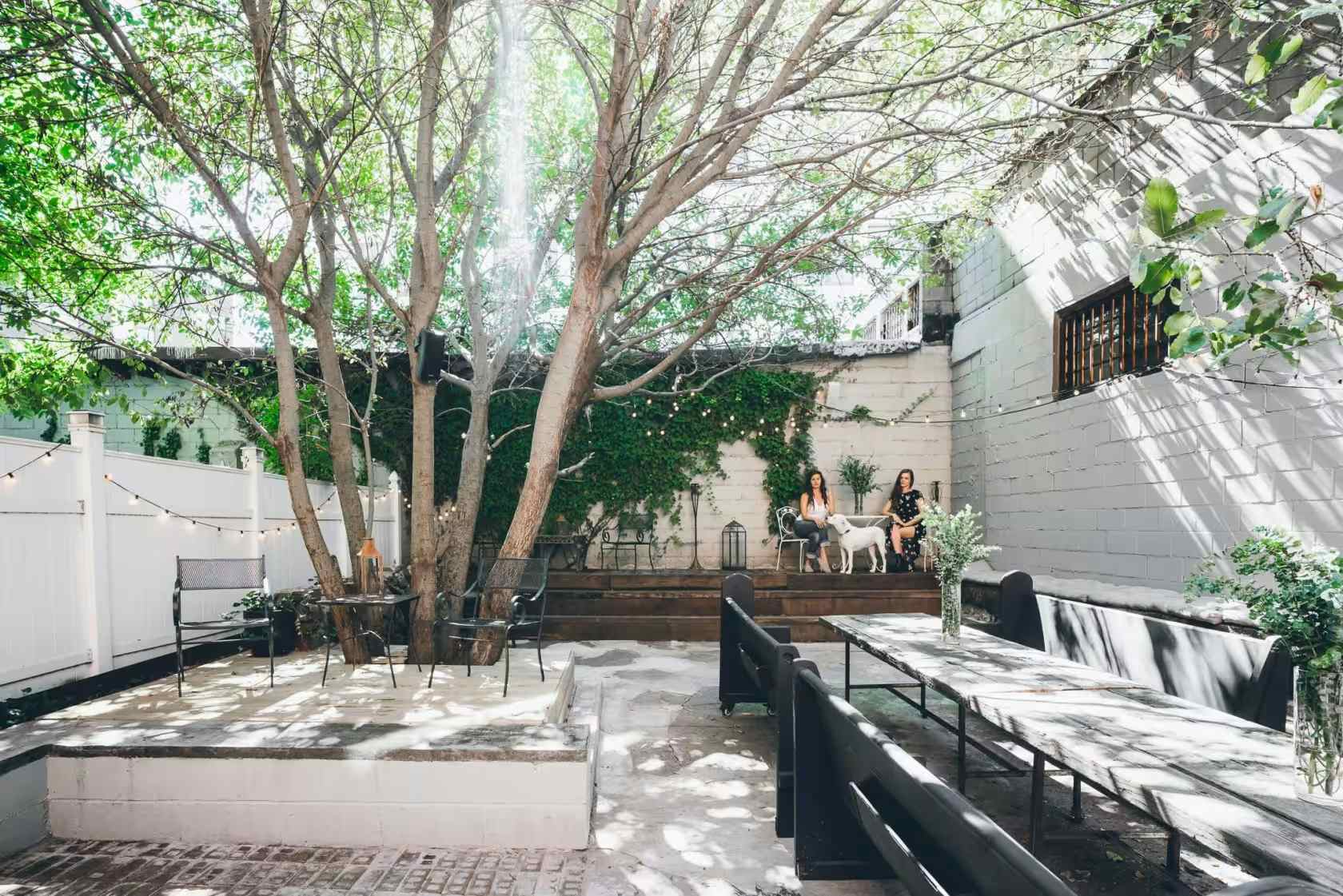 Rosa three hundred and eighty six - Space hire 2