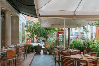 Terrace 2