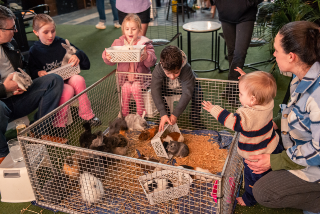 Rokeby100 - Social Daytime 1