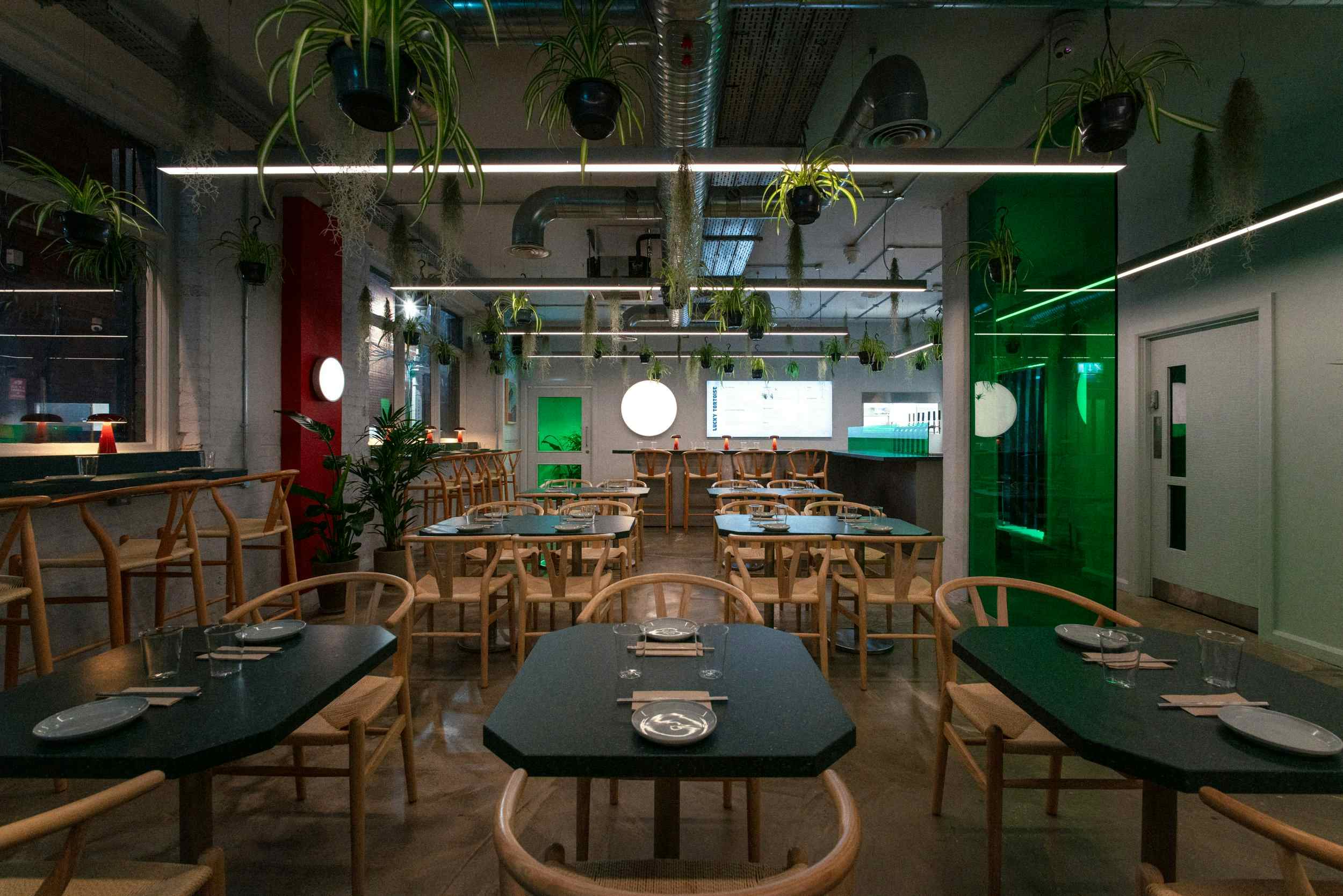 Lucky Tortoise Temple Bar 2