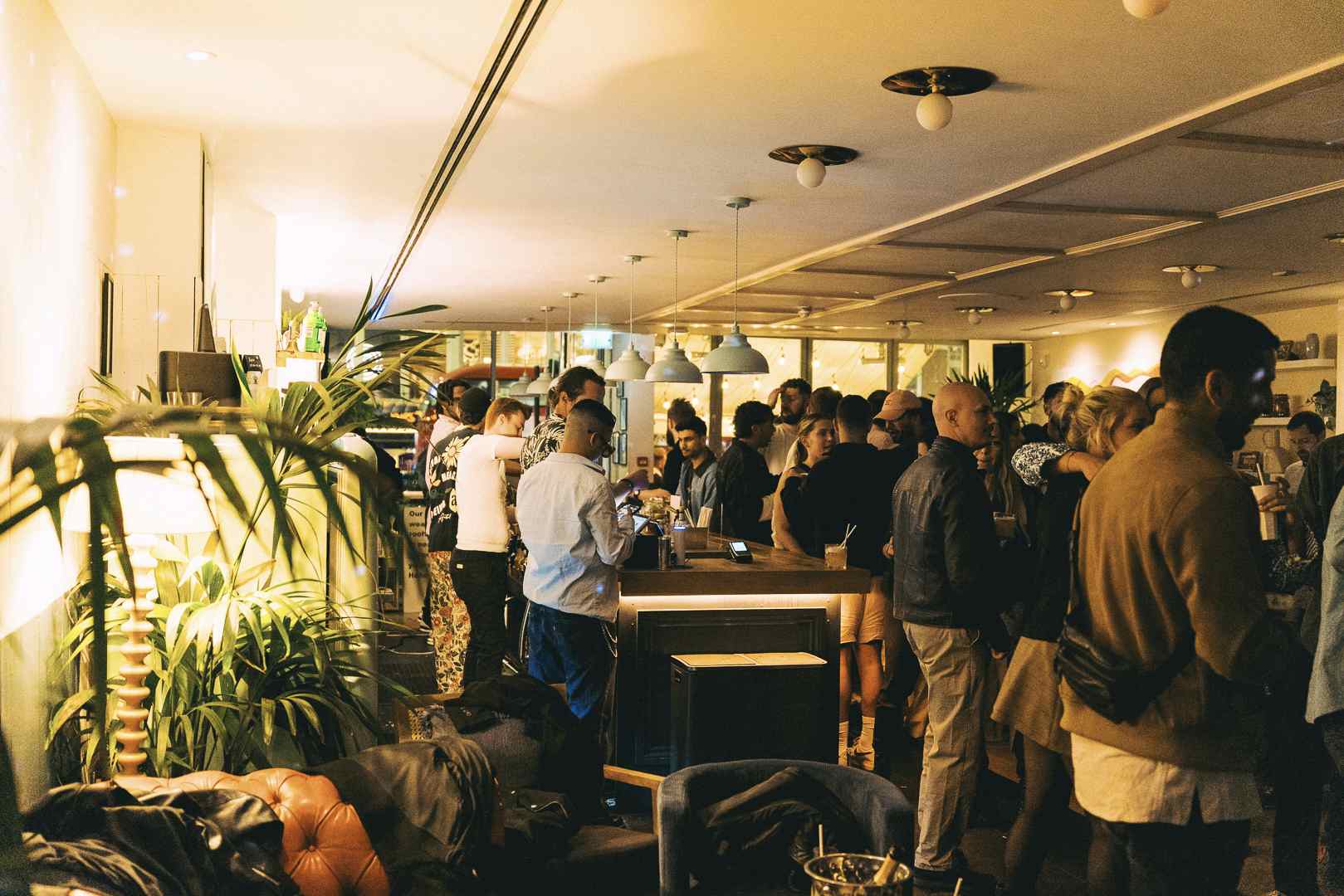 Winter at the Oasis  20