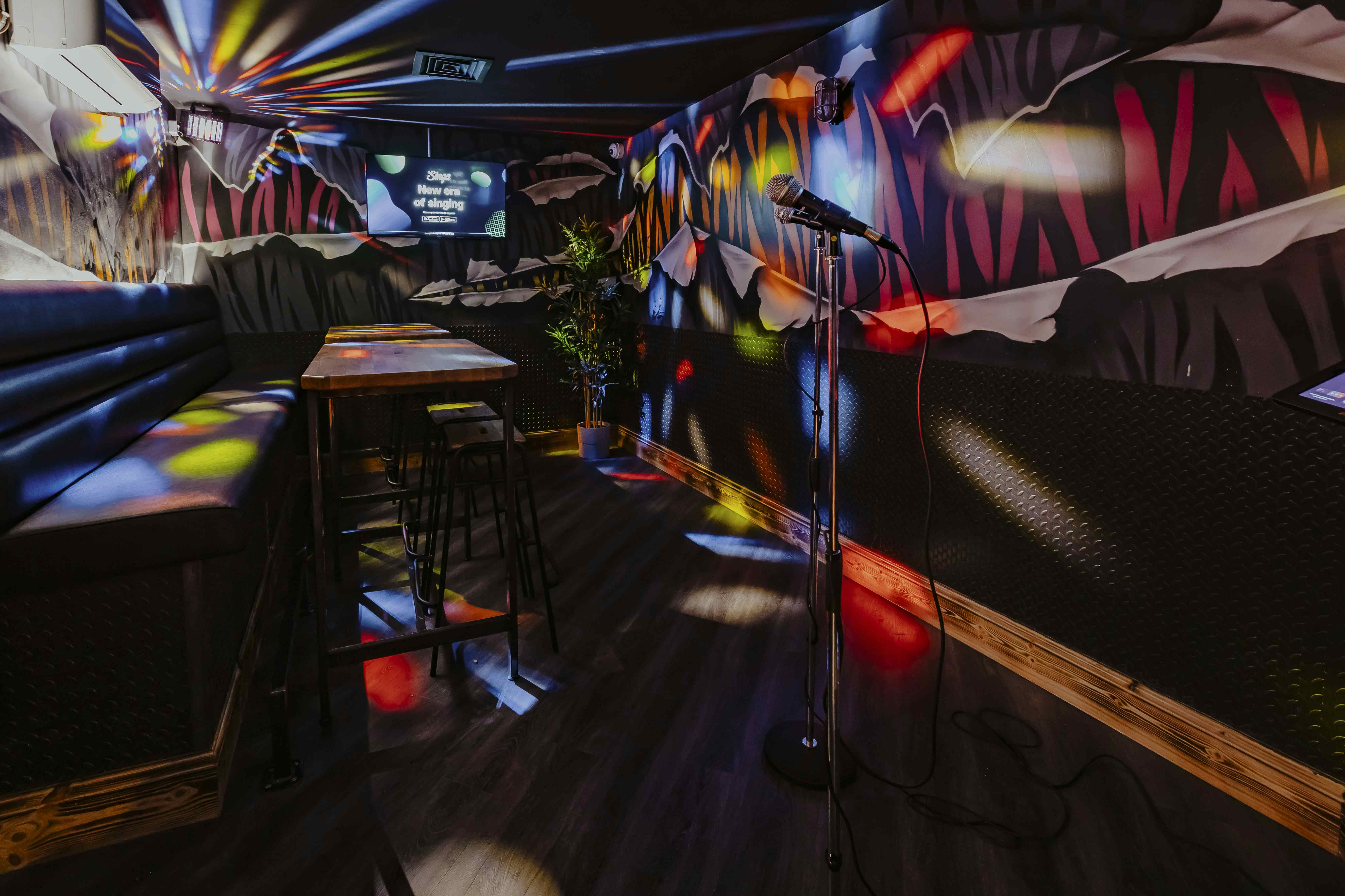 Karaoke Room 2