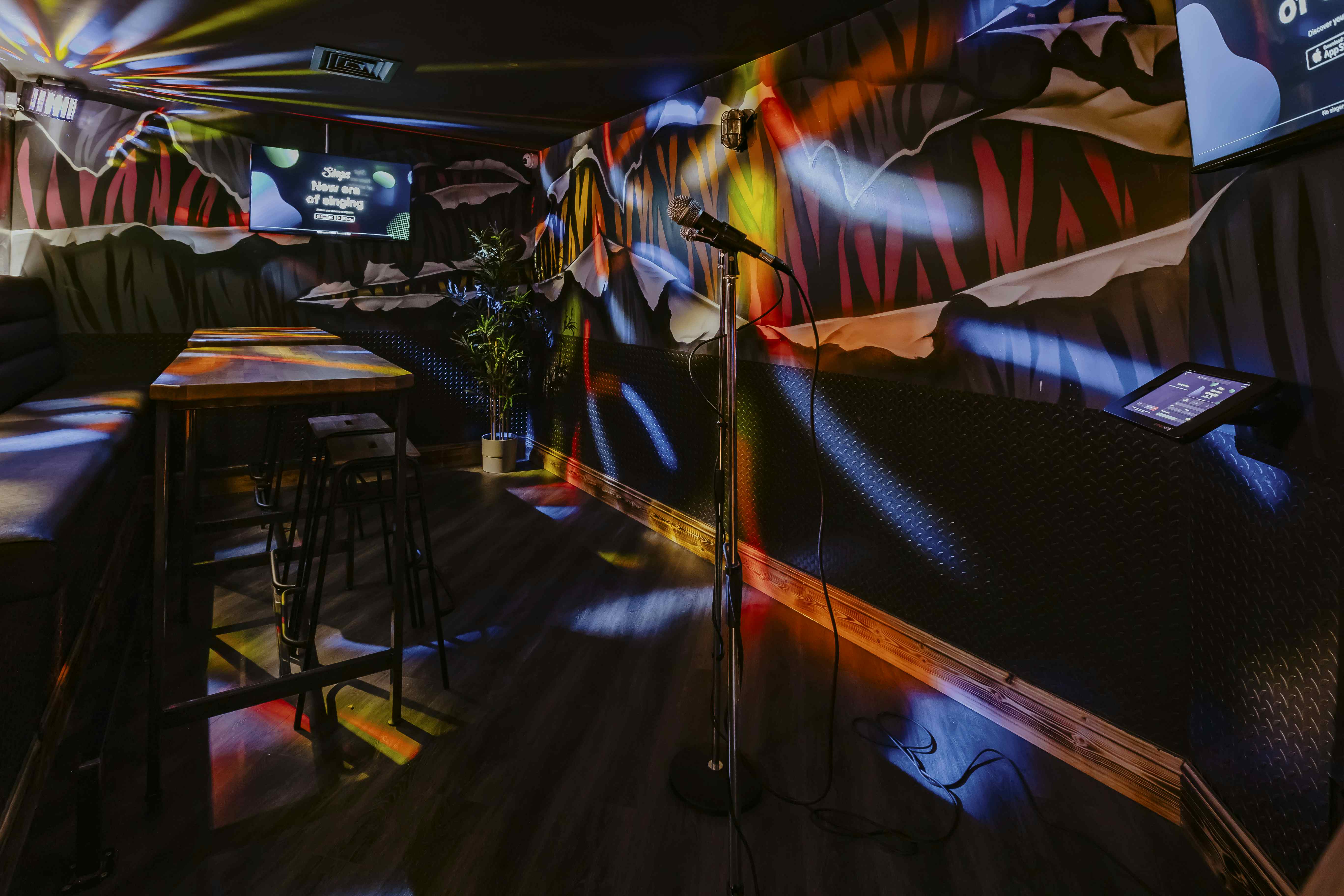 Karaoke Room 0
