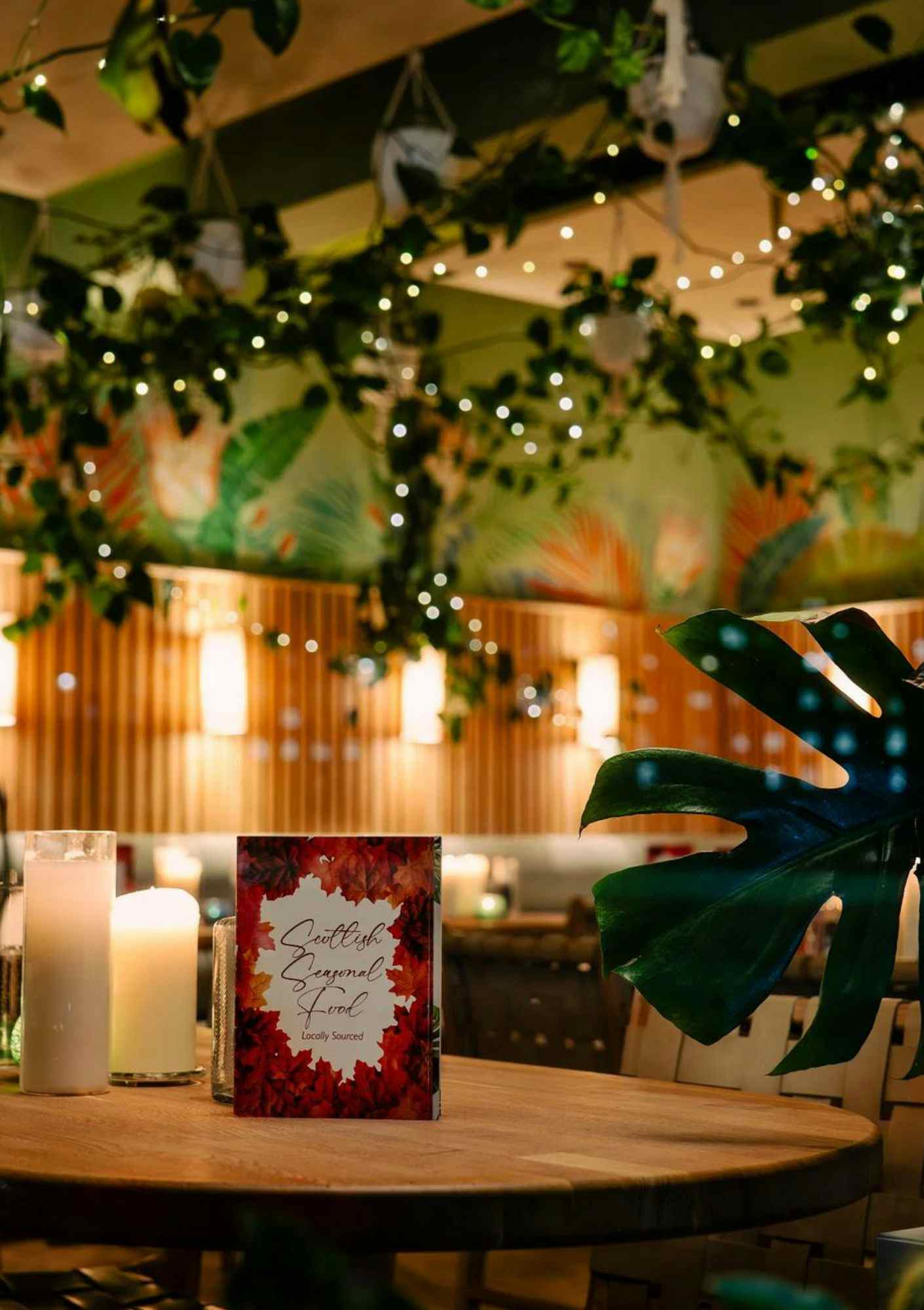 Hot Toddy Restaurant  1