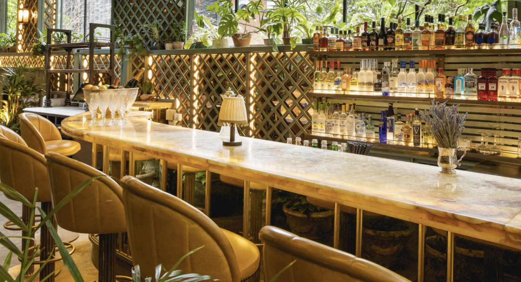 The Oasis Bar  - semi-private 1