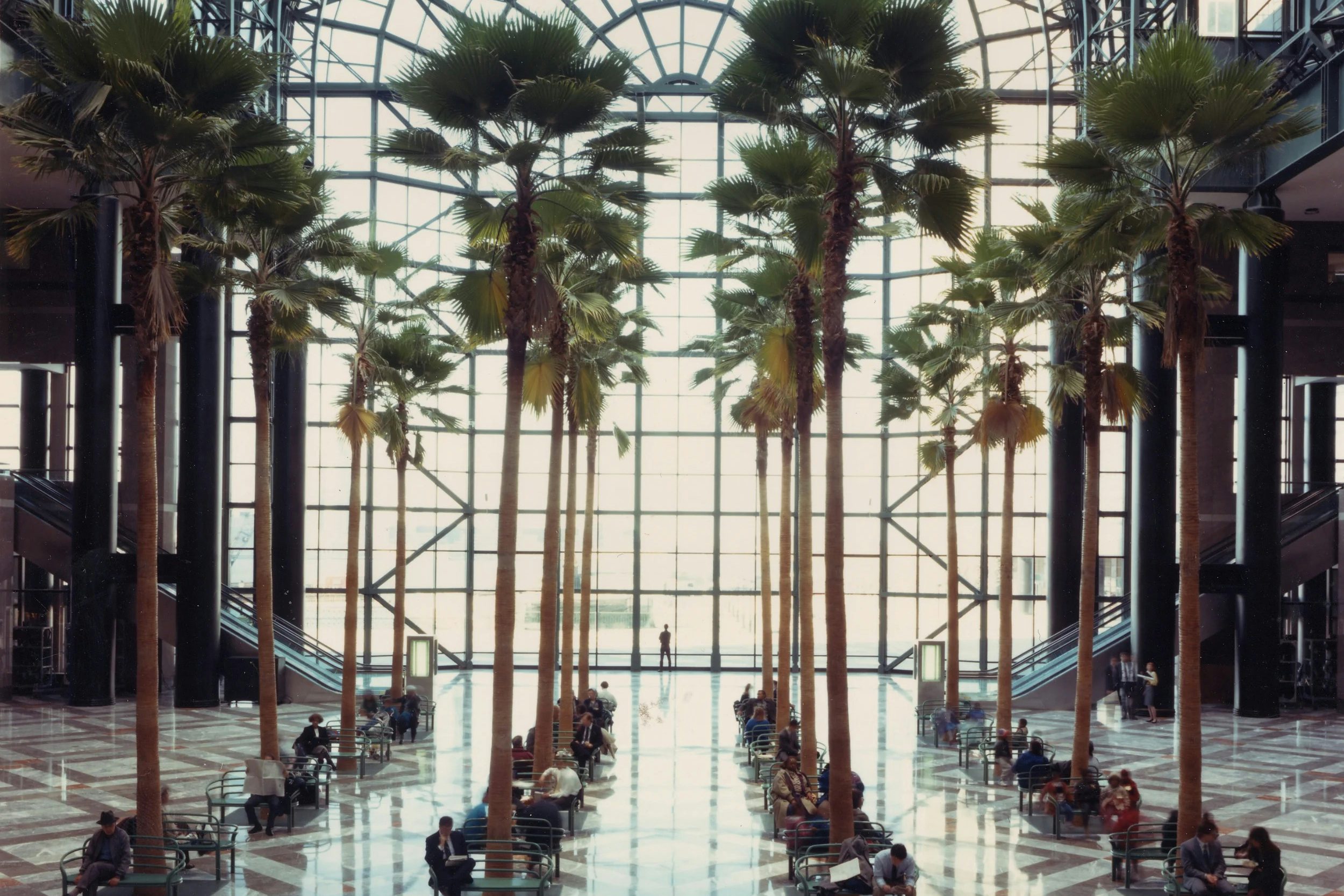 Winter Garden - Space hire 3