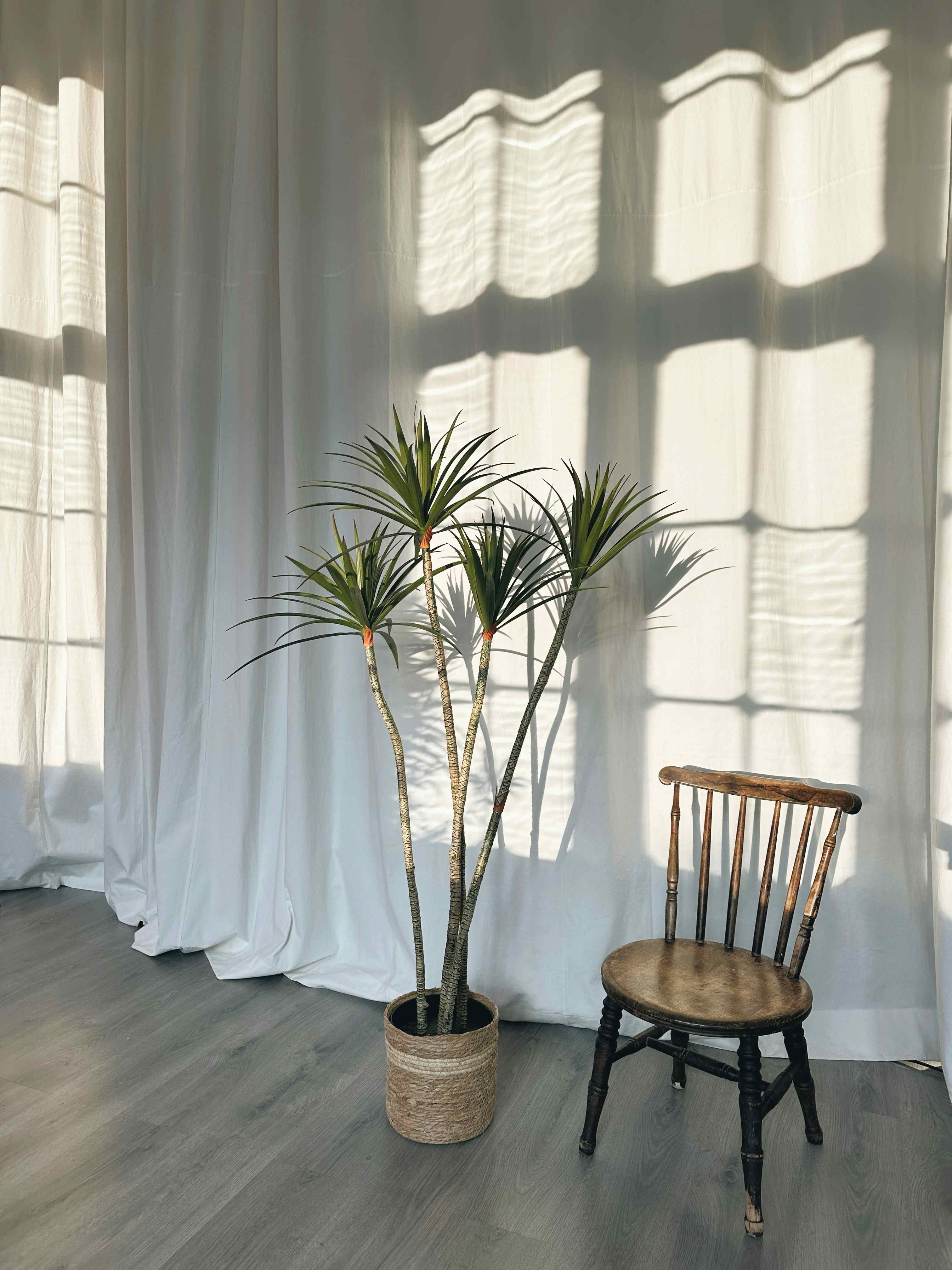 Clapham Photo Studio 15