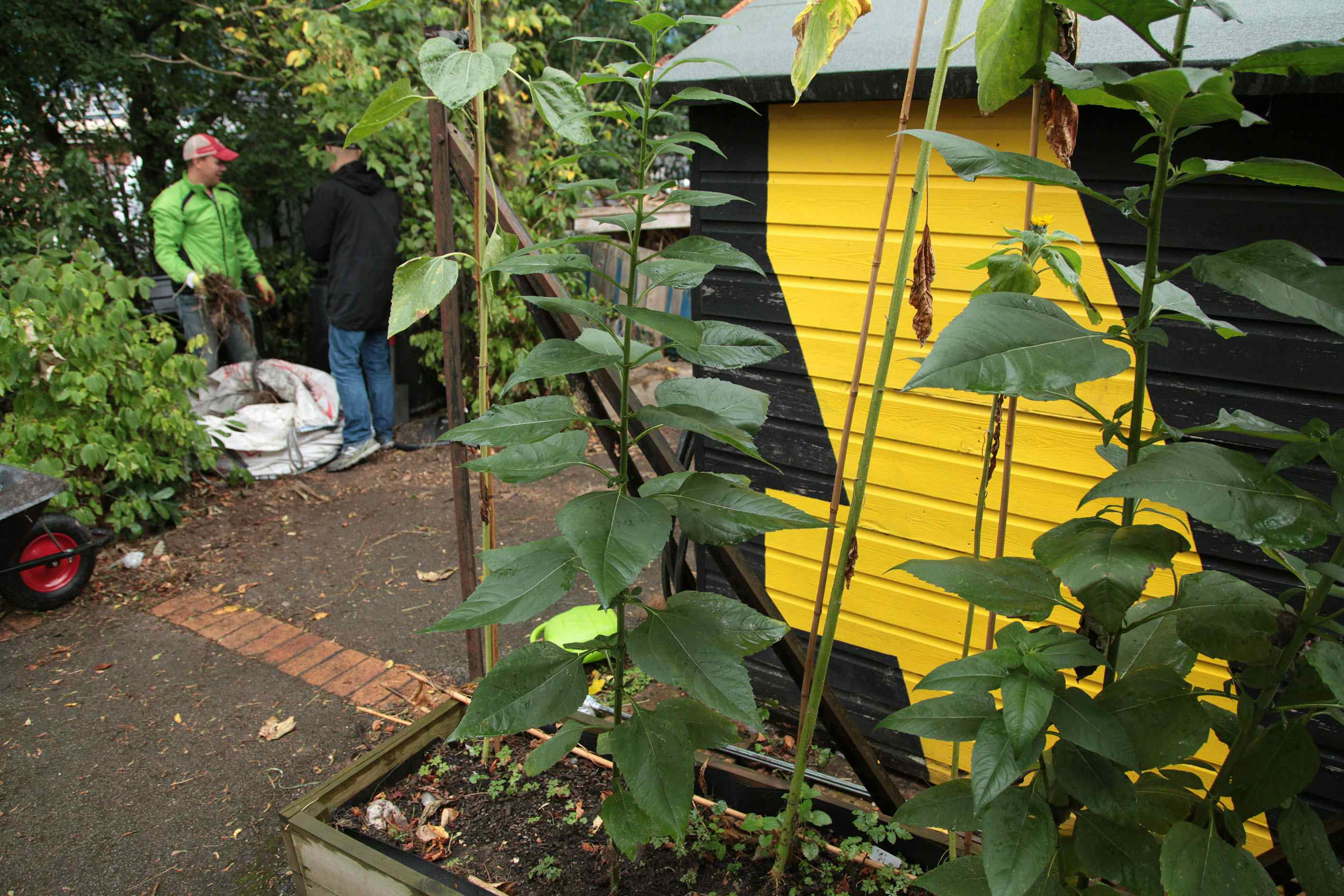 Ethical & Sustainable Meeting Rooms in South East London for Purpose-Driven Businesses 9