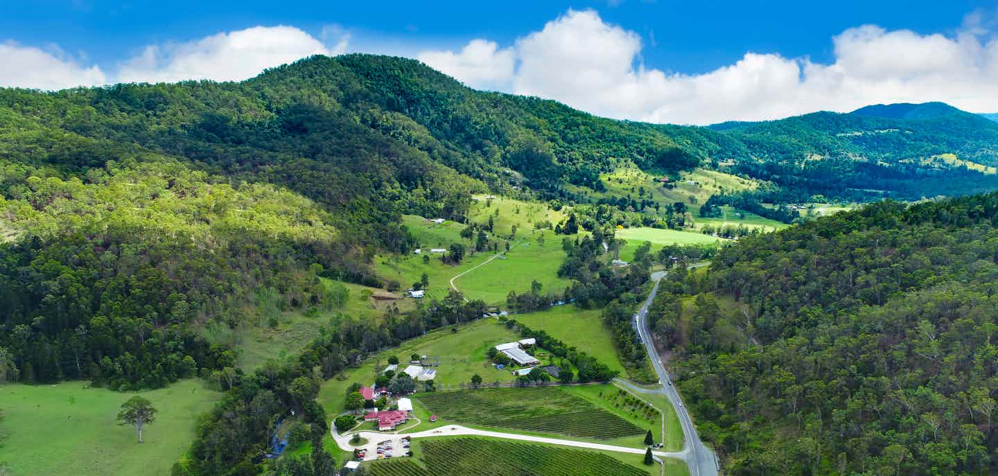 O'Reilly's Canungra Valley Vineyards 2