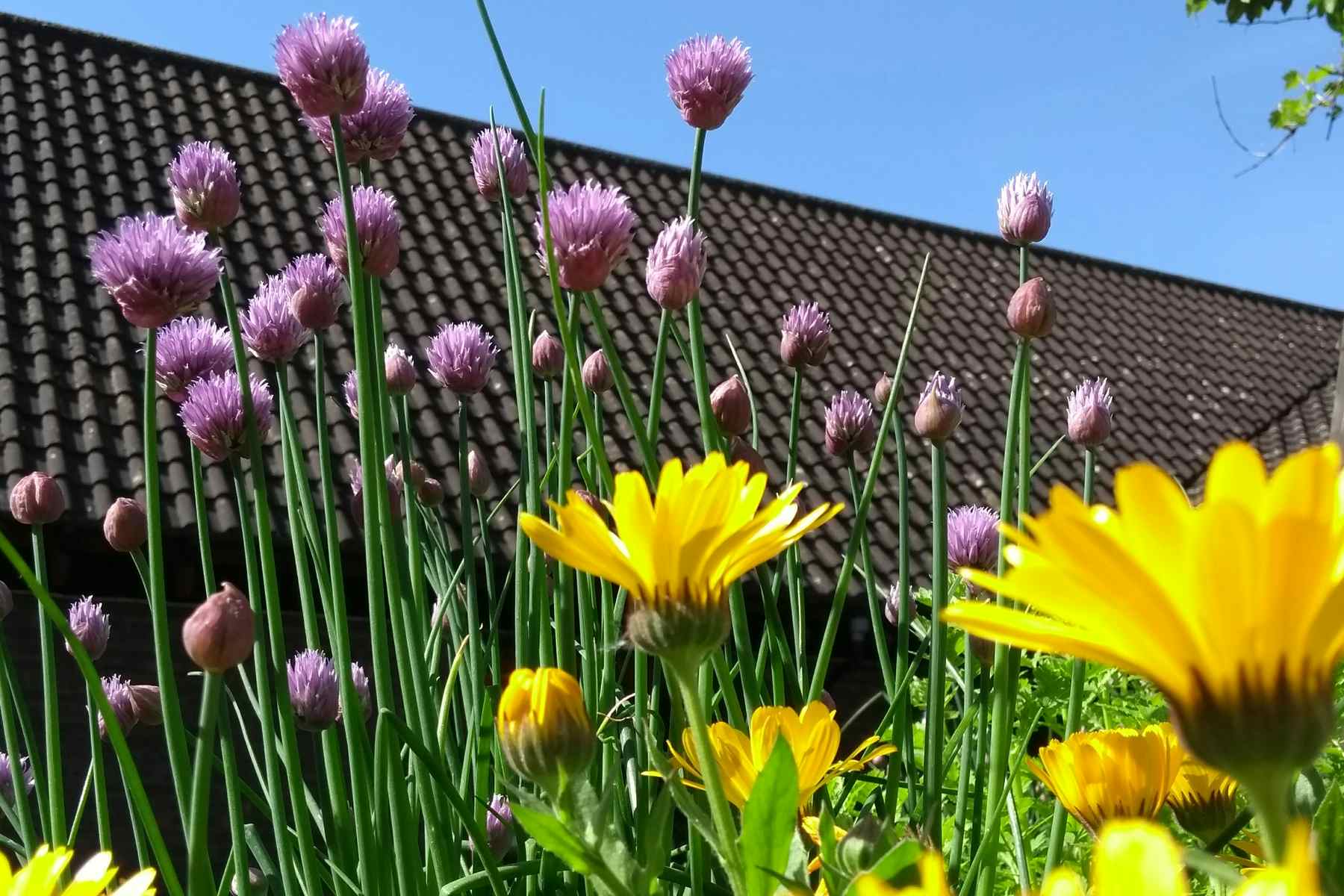 Rehearsal Space for Theatre, Dance & Performing Arts | Unique Venue Hire in London 5