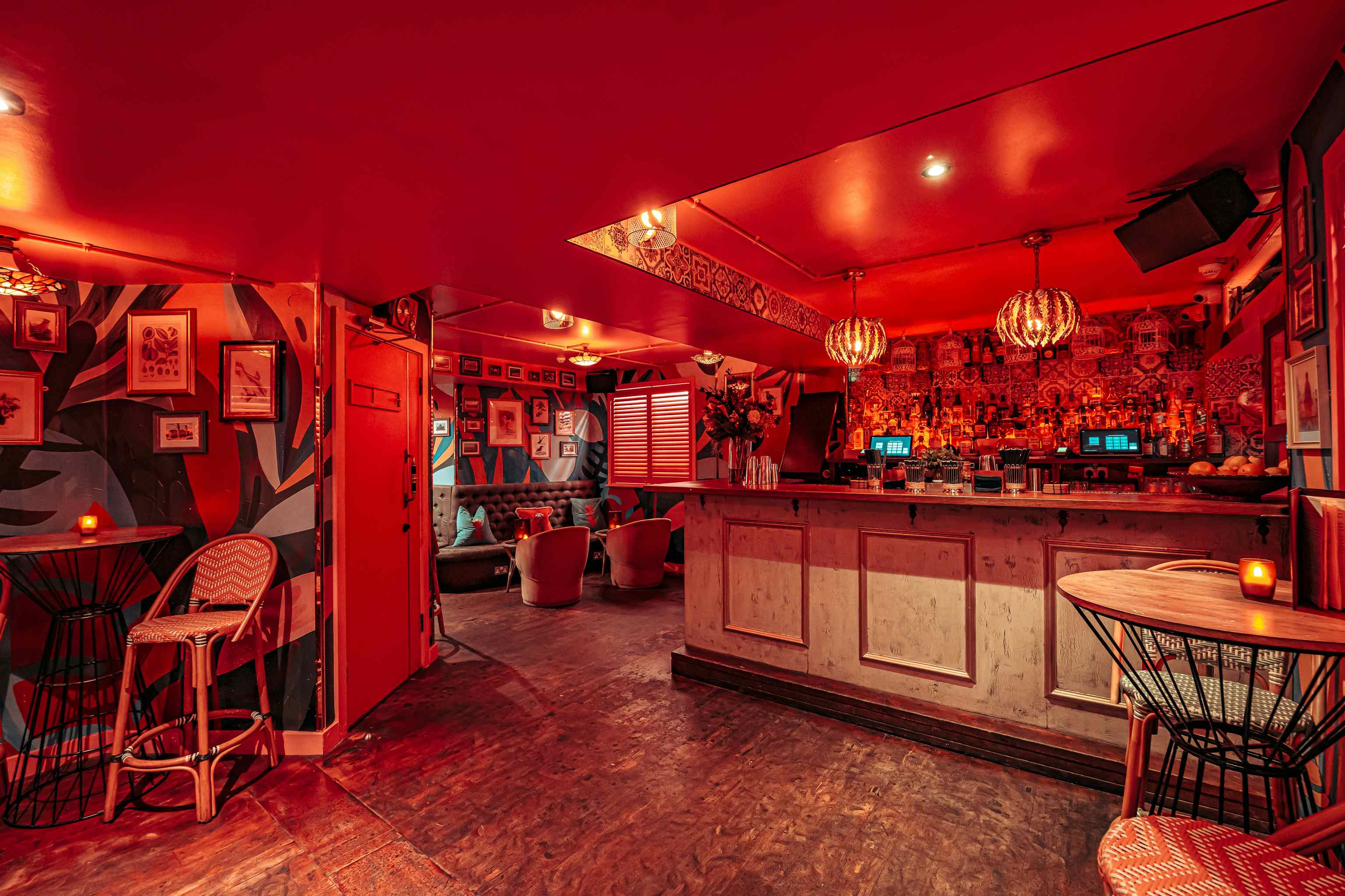 Cubanista in Paloma Chelsea