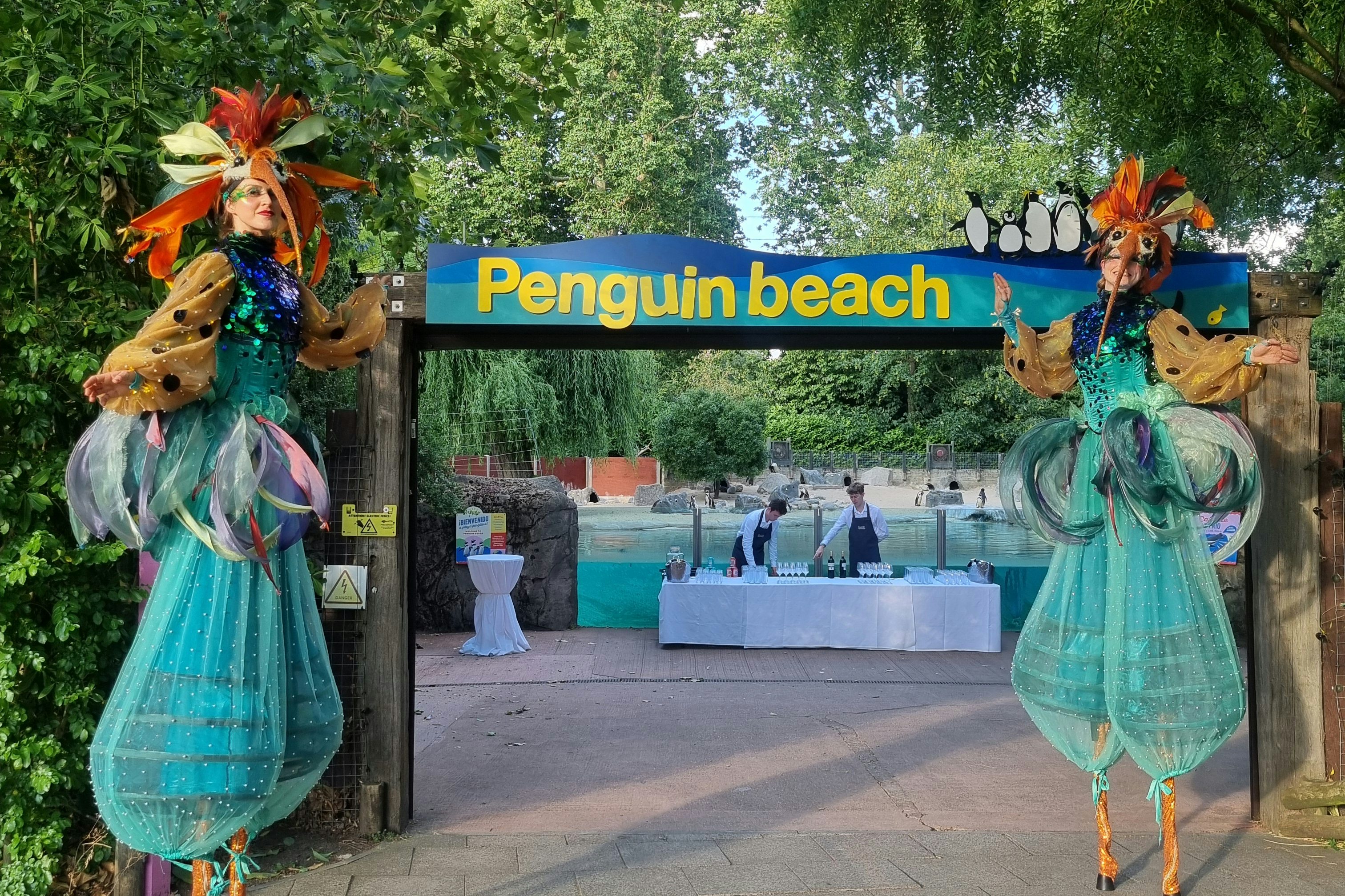 Summer Party Package 2026 4