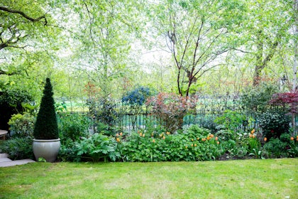 Garden 14
