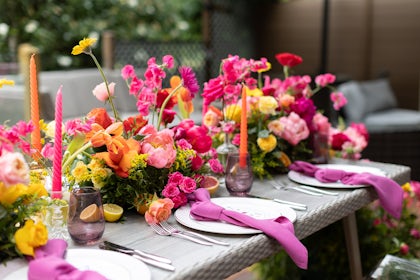 Garden 21