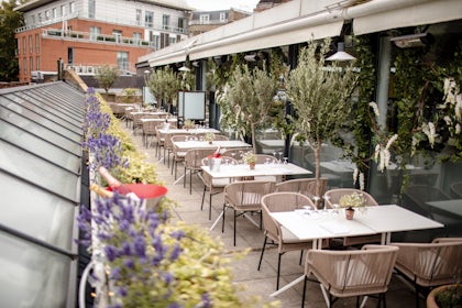 Terrace 3