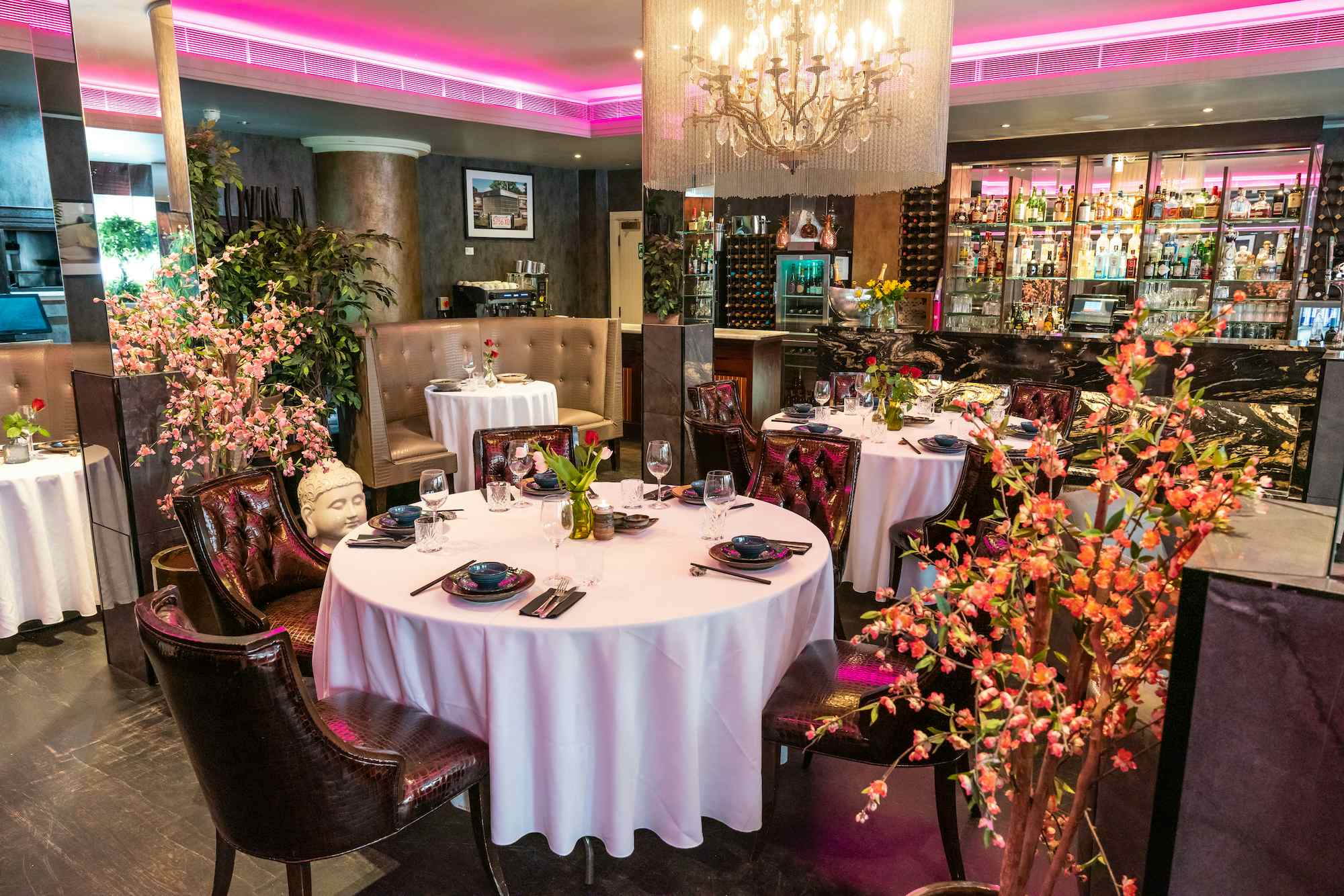 Wild Heart Bar and Grill 4