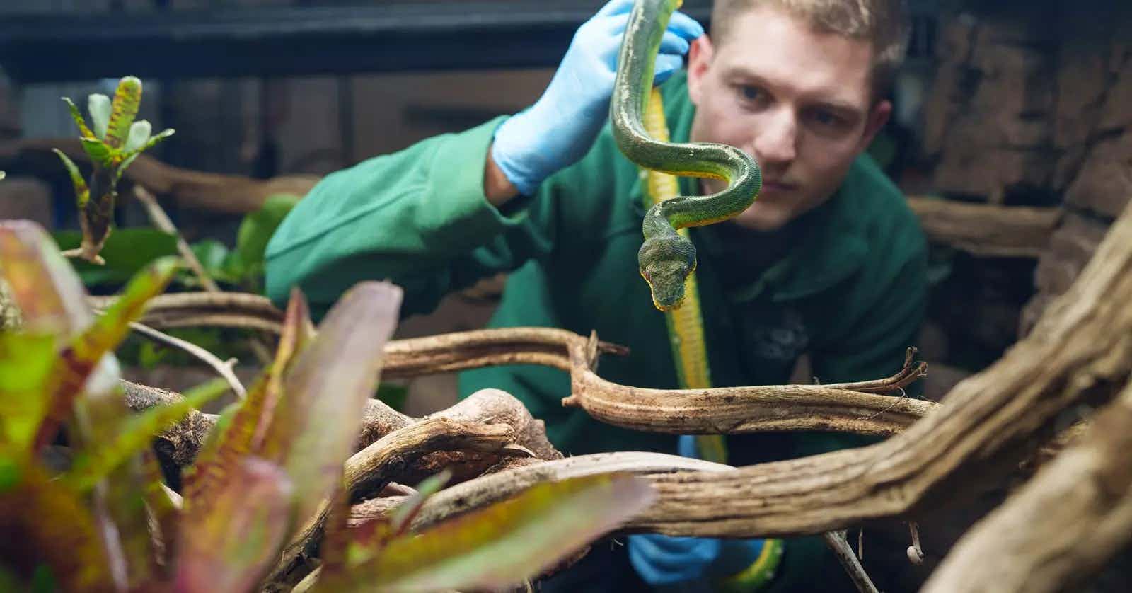 Amphibian and Reptile House 3