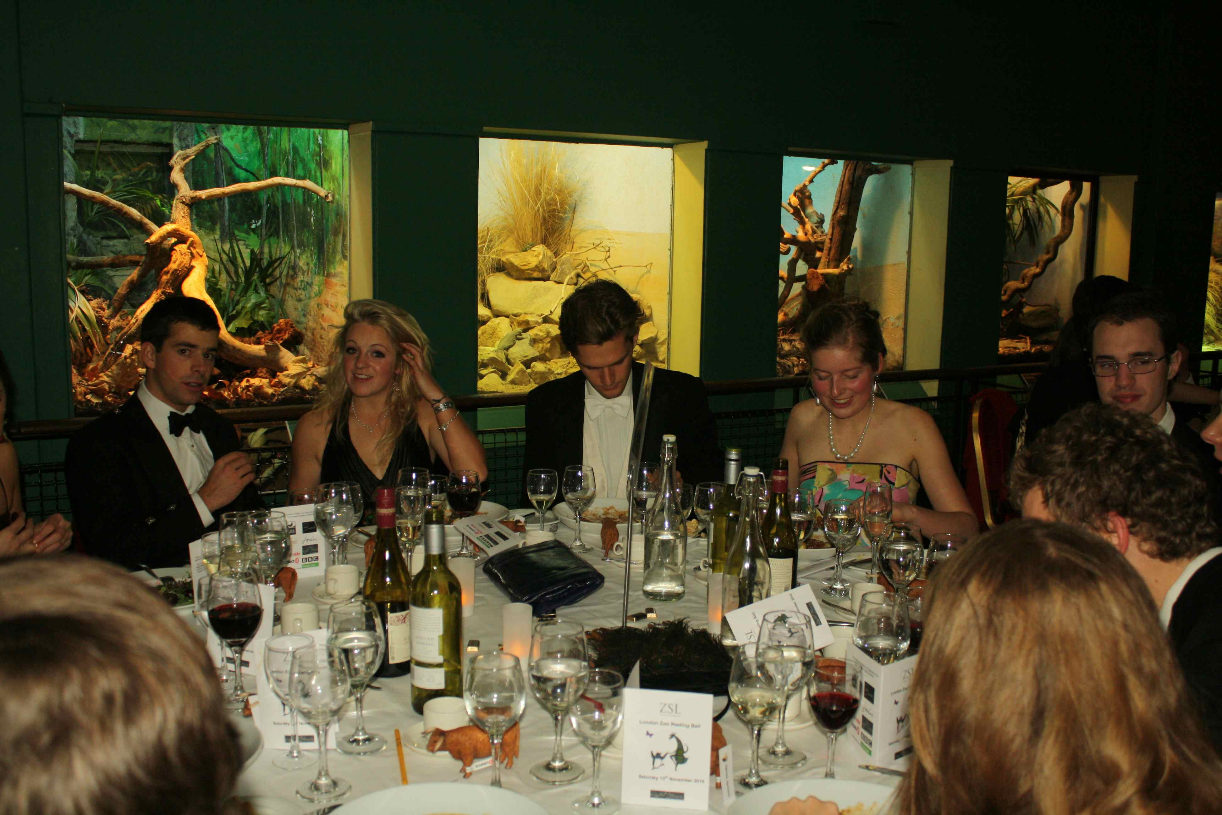 Amphibian and Reptile House 6