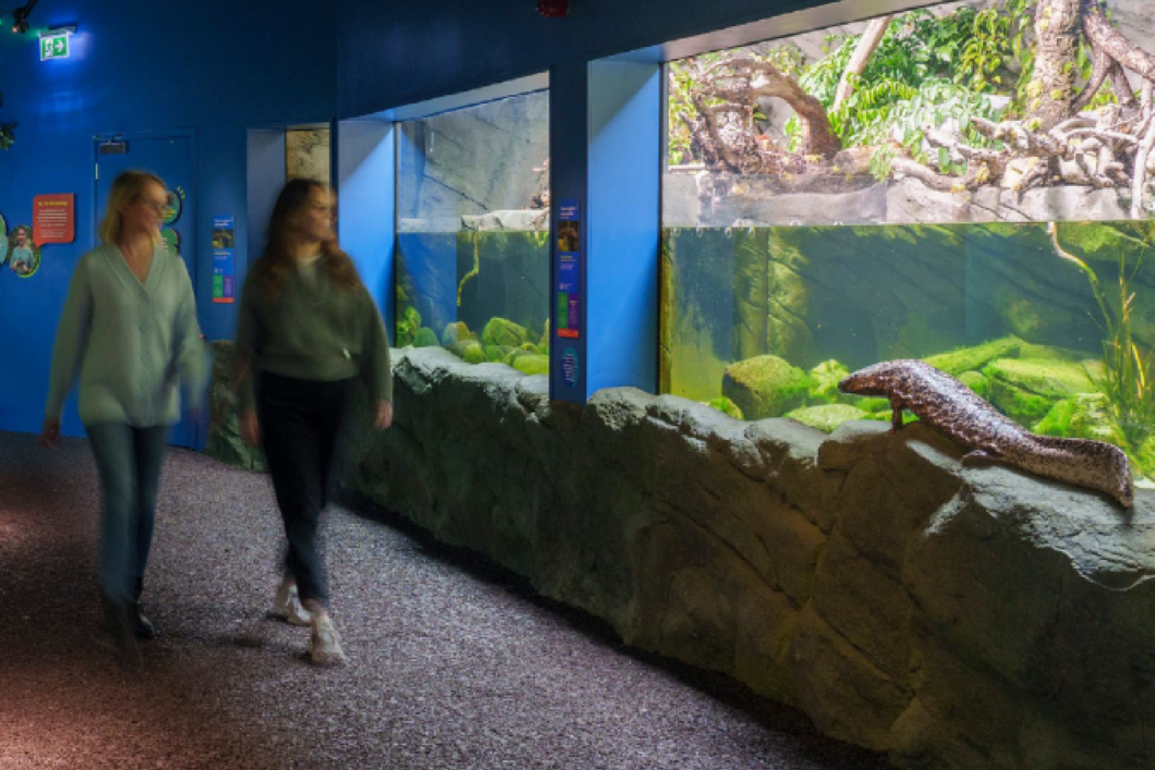 Amphibian and Reptile House 1