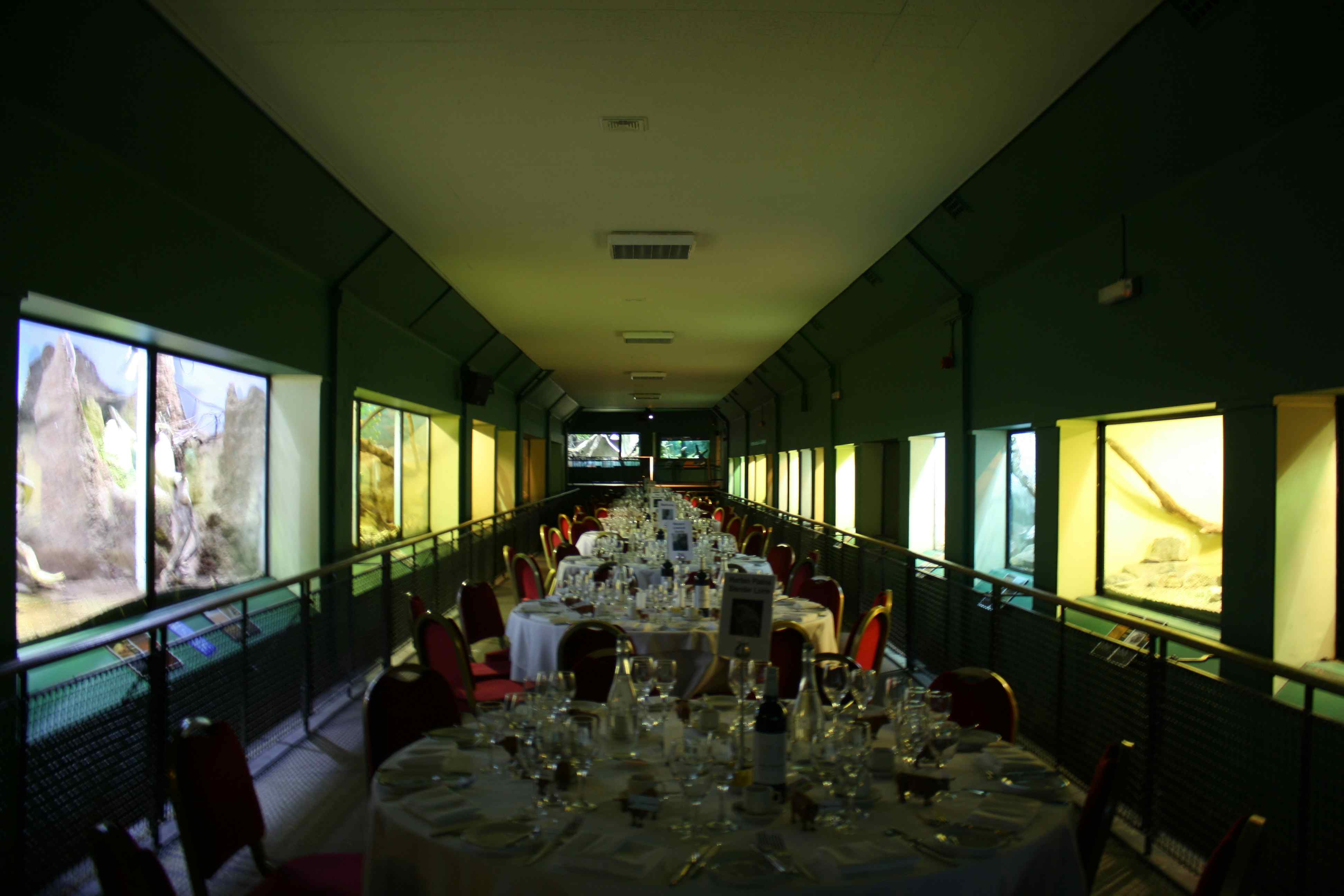 Amphibian and Reptile House 5