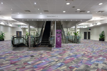 Platinum Suite 1