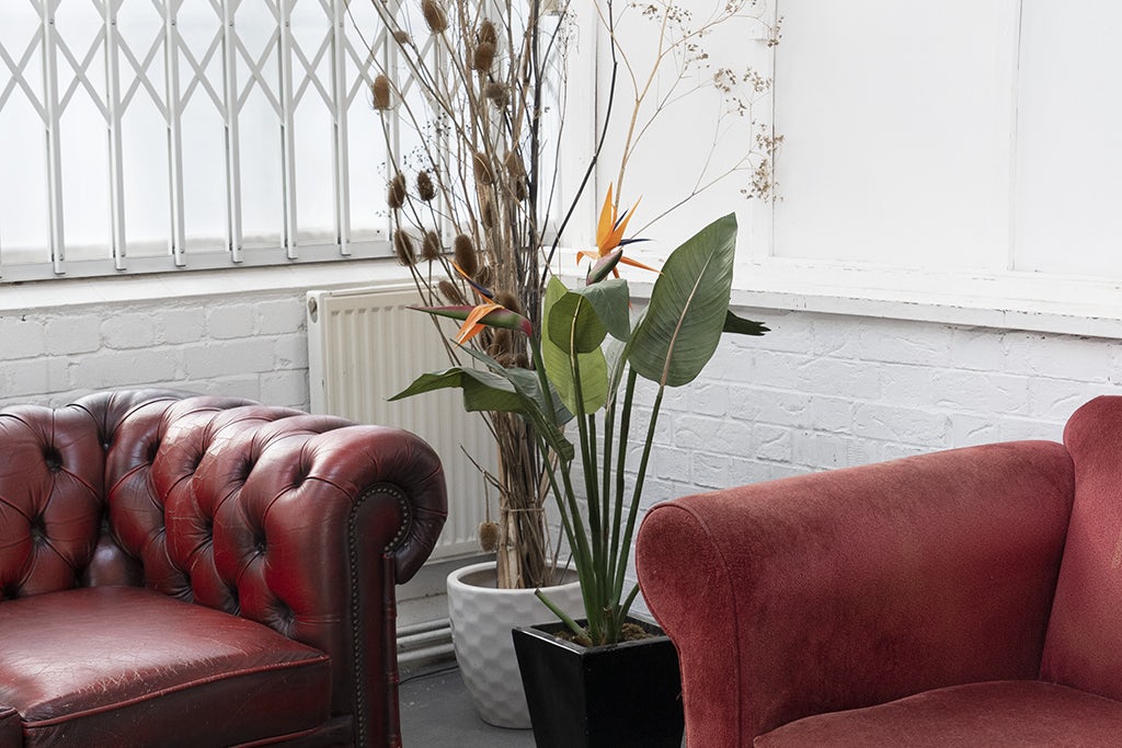 Photographic studio 17