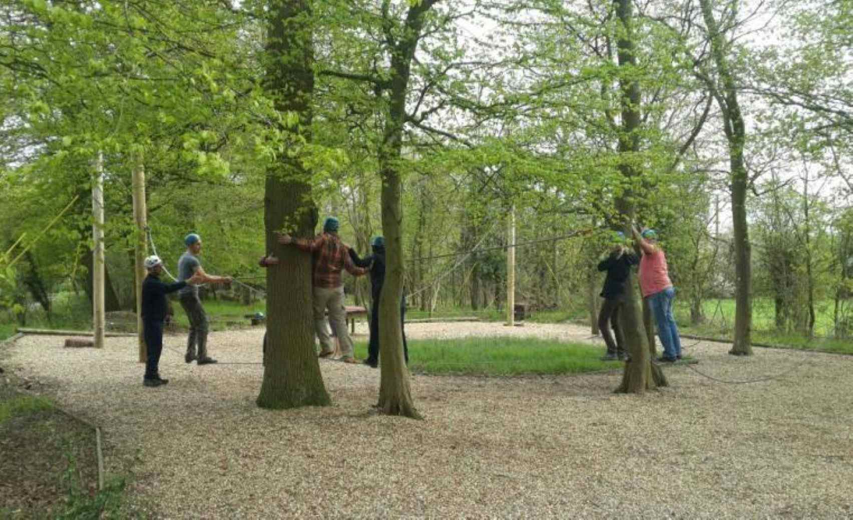 Grahame Robb Associates 6