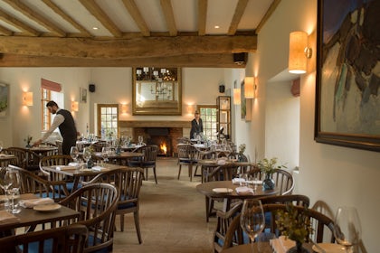 The Oak 11