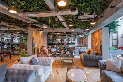 Main Lounge 5