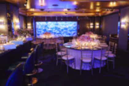 The Coral Reef Room 2